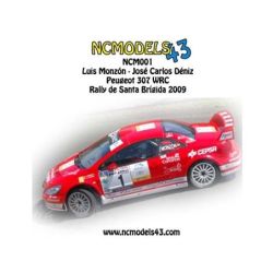 Luis Monzón - Peugeot 307 WRC - Rally Santa Brígida 2009