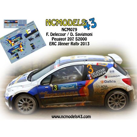 François Delecour - Peugeot 207 S2000 - Rally Janner 2013