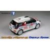Cedric Robert - Citroen DS3 R3T - Rally MontBlanc 2013