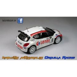 Robert Kubica - Peugeot 207 S2000 - Rally Cittie dei Mille 2013