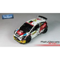 Bernardo Sousa - Ford Fiesta RRC - Rally Germany 2014
