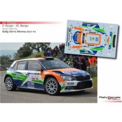 Pedro Burgo - Skoda Fabia R5 - Rally Sierra Morena 2017