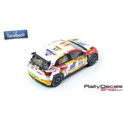 Nil Solans - VW Polo R5 - Rally Catalunya 2019
