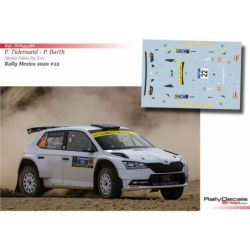 Pontus Tidemand - Skoda Fabia R5 Evo - Rally Mexico 2020